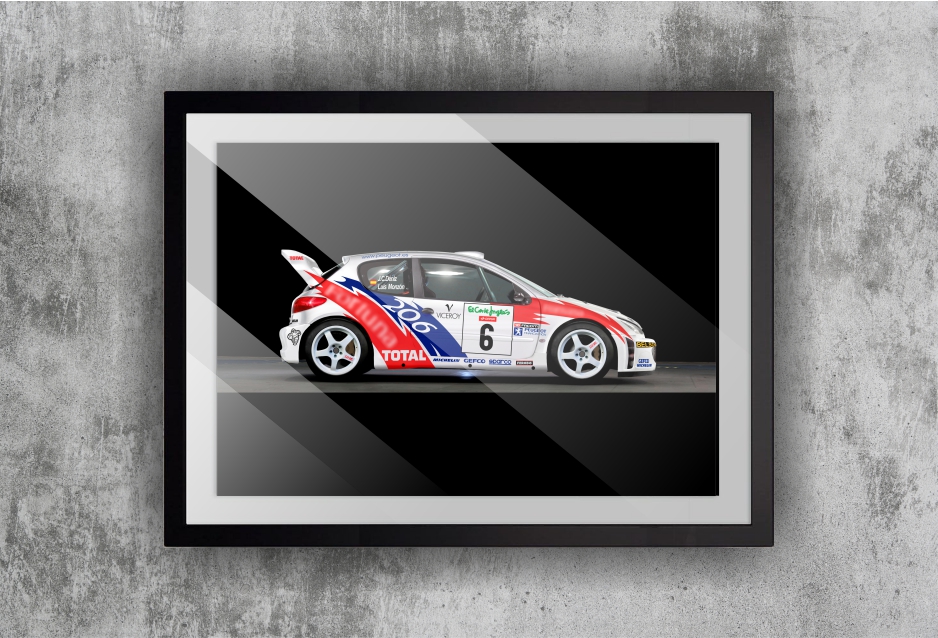 Lámina 206 WRC tamaño A3